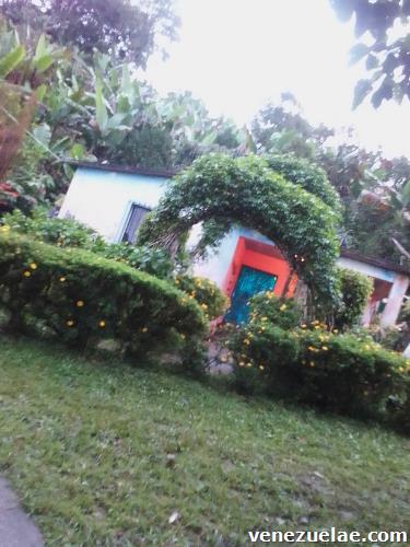 Vendo casa en Caripe. Sector El Perú