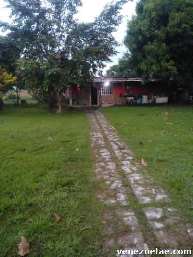 Se vende granja acuícola en Valencia estado Cárabo