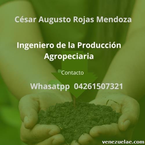 Ingeniero de la Producción Agropecuaria