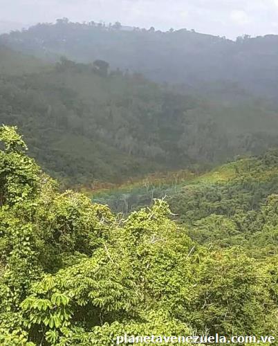 Se vende o cambia por vehículo terreno en Los Tequ