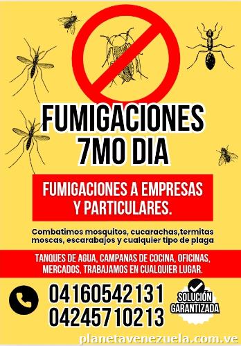 Fumigaciones 7mo Día